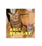 めいちゃんのスタンプ①（個別スタンプ：6）