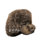 シェリちゃん☻（個別スタンプ：3）