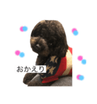 シェリちゃん☻（個別スタンプ：8）