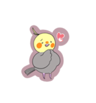 おかめちゃん(オカメインコ)（個別スタンプ：5）