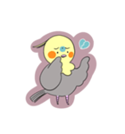 おかめちゃん(オカメインコ)（個別スタンプ：6）
