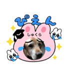 しゅくらのスタンプ（個別スタンプ：3）