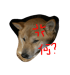 アイリスだにょ。（個別スタンプ：2）