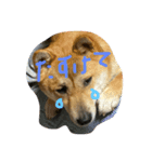アイリスだにょ。（個別スタンプ：3）