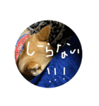 アイリスだにょ。（個別スタンプ：4）