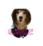 マメキラだっぺ兄妹（個別スタンプ：5）