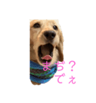 マメキラだっぺ兄妹（個別スタンプ：6）