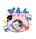 可愛いピッちゃん（個別スタンプ：1）