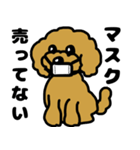 マスクde日常(トイプードル)（個別スタンプ：1）