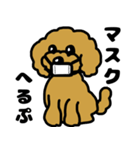 マスクde日常(トイプードル)（個別スタンプ：2）