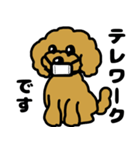 マスクde日常(トイプードル)（個別スタンプ：5）