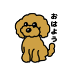 マスクde日常(トイプードル)（個別スタンプ：6）
