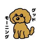 マスクde日常(トイプードル)（個別スタンプ：8）