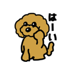 マスクde日常(トイプードル)（個別スタンプ：9）