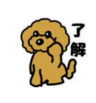 マスクde日常(トイプードル)（個別スタンプ：10）