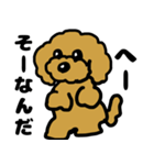 マスクde日常(トイプードル)（個別スタンプ：13）
