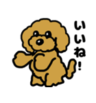 マスクde日常(トイプードル)（個別スタンプ：16）