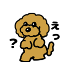 マスクde日常(トイプードル)（個別スタンプ：17）