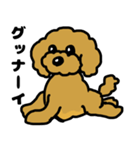 マスクde日常(トイプードル)（個別スタンプ：19）