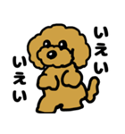 マスクde日常(トイプードル)（個別スタンプ：21）