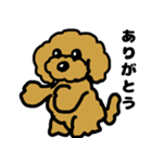 マスクde日常(トイプードル)（個別スタンプ：22）