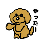 マスクde日常(トイプードル)（個別スタンプ：24）