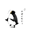 ゆるふわペンギンの日常（個別スタンプ：14）