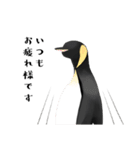 ゆるふわペンギンの日常（個別スタンプ：31）