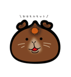 中華まんモルモット（個別スタンプ：1）