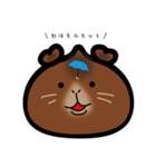 中華まんモルモット（個別スタンプ：2）