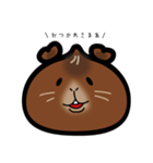 中華まんモルモット（個別スタンプ：3）