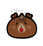 中華まんモルモット（個別スタンプ：5）