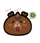 中華まんモルモット（個別スタンプ：6）