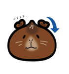中華まんモルモット（個別スタンプ：7）