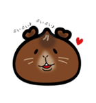 中華まんモルモット（個別スタンプ：8）