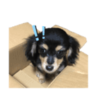 のあたち（個別スタンプ：6）
