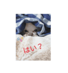 Reiくん（個別スタンプ：2）