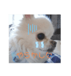 Reiくん（個別スタンプ：6）