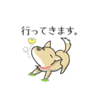 うちのちゃっぴー（個別スタンプ：1）