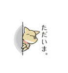 うちのちゃっぴー（個別スタンプ：2）