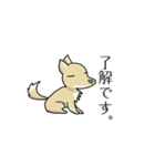 うちのちゃっぴー（個別スタンプ：3）
