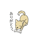 うちのちゃっぴー（個別スタンプ：4）