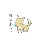 うちのちゃっぴー（個別スタンプ：5）