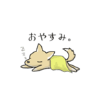 うちのちゃっぴー（個別スタンプ：6）