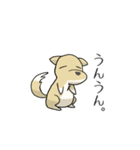うちのちゃっぴー（個別スタンプ：7）