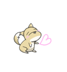 うちのちゃっぴー（個別スタンプ：8）