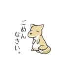 うちのちゃっぴー（個別スタンプ：11）