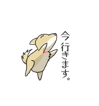 うちのちゃっぴー（個別スタンプ：13）
