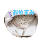 ハリネズミしおちゃんスタンプ（個別スタンプ：8）