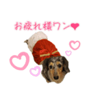美蘭家のスタンプ（個別スタンプ：5）